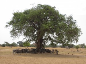 Secondary School Fields